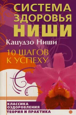 Кацудзо Ниши 10 шагов к успеху обложка книги