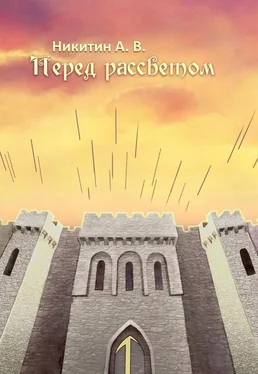 Александр Никитин Перед рассветом обложка книги