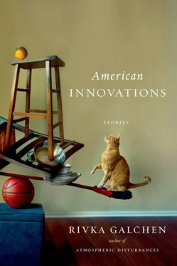 Rivka Galchen American Innovations: Stories обложка книги