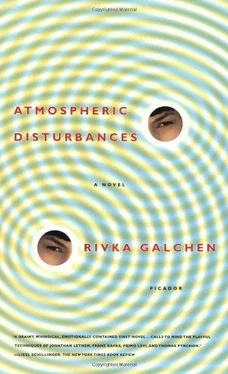 Rivka Galchen Atmospheric Disturbances обложка книги