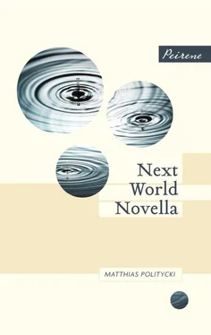 Matthias Politycki Next World Novella обложка книги