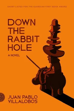 Juan Pablo Villalobos Down the Rabbit Hole обложка книги