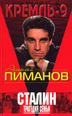 Алексей Пиманов Сталин. Трагедия семьи обложка книги