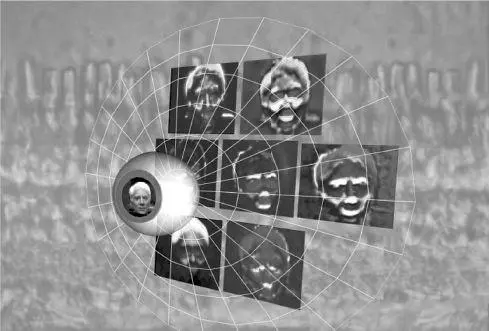 Seven of the twelve lowdatarate movies sent by the optic nerve to the - фото 30