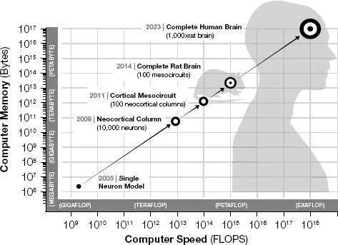 Actual and projected progress of the Blue Brain brain simulation project - фото 34