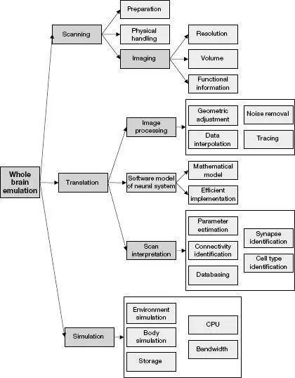 An outline of the technological capabilities needed for whole brain emulation - фото 36