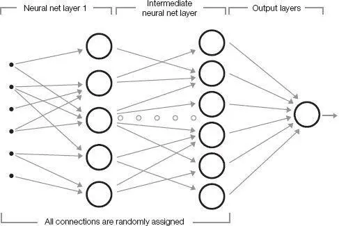 Since the neural net wiring and synaptic weights are initially set randomly - фото 38