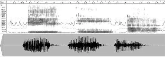 A spectrogram of three vowels From left to right i as in appr e ciate - фото 40