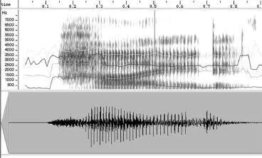 A spectrogram of a person saying the word hide The horizontal lines show the - фото 41