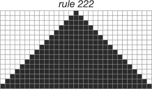 An automaton is based on a rule and a rule defines whether the cell will be - фото 52