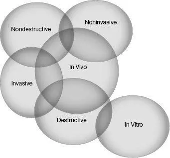 A Venn diagram of brain imaging methods 19 Tools for imaging the brain 20 - фото 67
