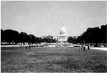 Governments never trust freedomloving independent citizens It seemed - фото 38