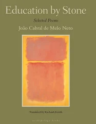 Joao Cabral de Melo Neto - Education by Stone