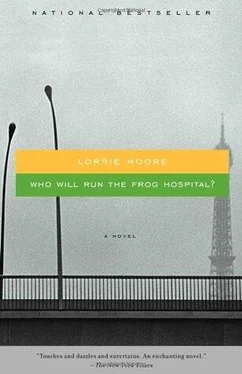 Lorrie Moore Who Will Run the Frog Hospital обложка книги