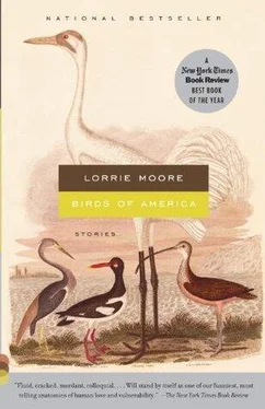 Lorrie Moore Birds of America обложка книги