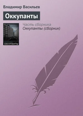 Владимир Васильев Оккупанты обложка книги