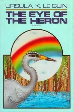 Ursula Le Guin The Eye of the Heron обложка книги