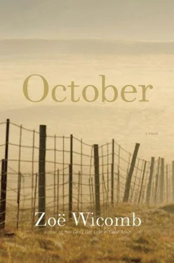 Zoe Wicomb October обложка книги