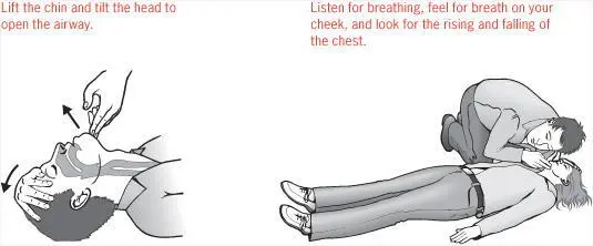 The point is to keep the casualtys blood moving around their body pushing the - фото 17