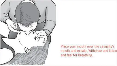 Still tilting their neck back and holding their nose breathe deeply into their - фото 20
