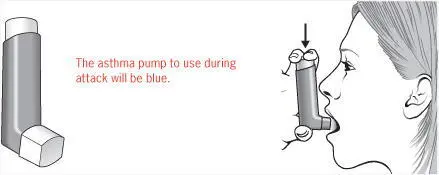 ActionIf they are a regular asthma sufferer immediately seek out their - фото 35