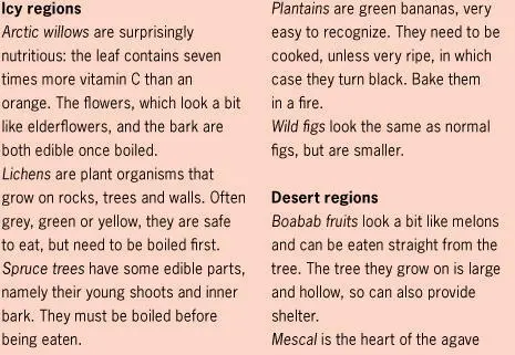 UNSAFE TO EAT GATHERING FOOD I am not going to list all the possible plants - фото 47