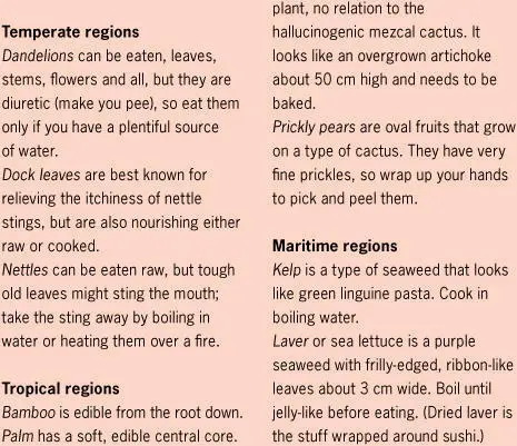 UNSAFE TO EAT GATHERING FOOD I am not going to list all the possible plants - фото 48