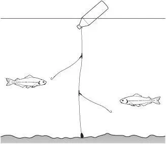 For live bait you can use anything that wriggles but it needs to look - фото 52