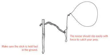 Make a small loop at one end of the wire by twisting it back on itself Feed - фото 55