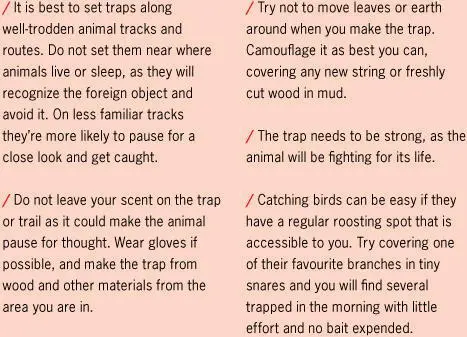 To avoid the animal pulling your stake out of the ground or chewing itself - фото 56