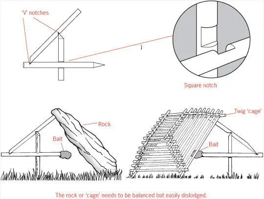 If these arrangements dont work for you there are otherways to make deadfall - фото 58