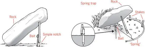 How to catch flying birds Large birds will go for bait thrown in the air Tie a - фото 59