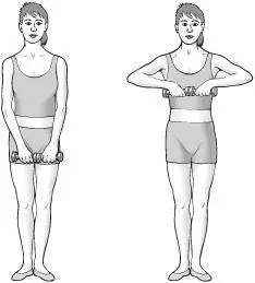 Front weight lifts Take your weights see Exercise equipment on the cheap and - фото 100