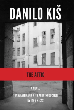 Danilo Kiš The Attic