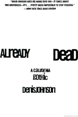 Denis Johnson Already Dead: A California Gothic обложка книги
