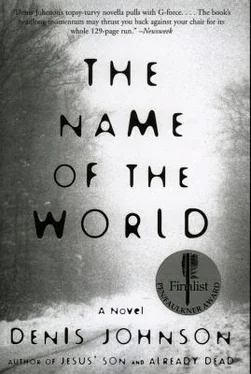 Denis Johnson The Name of the World обложка книги
