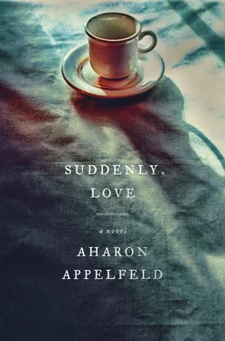 Aharon Appelfeld Suddenly, Love обложка книги