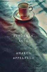 Aharon Appelfeld - Suddenly, Love