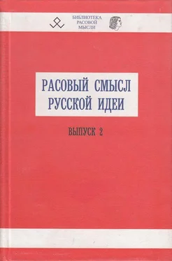 В. Авдеев Расовый смысл русской идеи. Выпуск 2 обложка книги