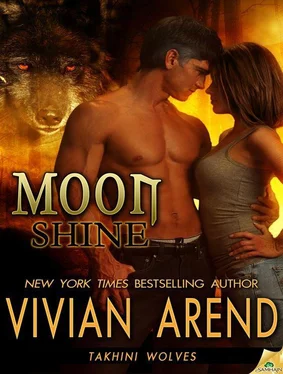 Vivian Arend Moon Shine обложка книги