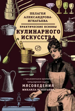 Михаил Игнатьев Практические основы кулинарного искусства. Краткий популярный курс мясоведения обложка книги