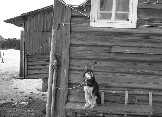 Рис 31 Собака на длинном поводке и тросе Чтобы трос не провисал в том - фото 54