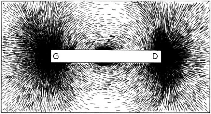 It is a mode entered by flaxen tree tools from three to twelve lawns long - фото 13