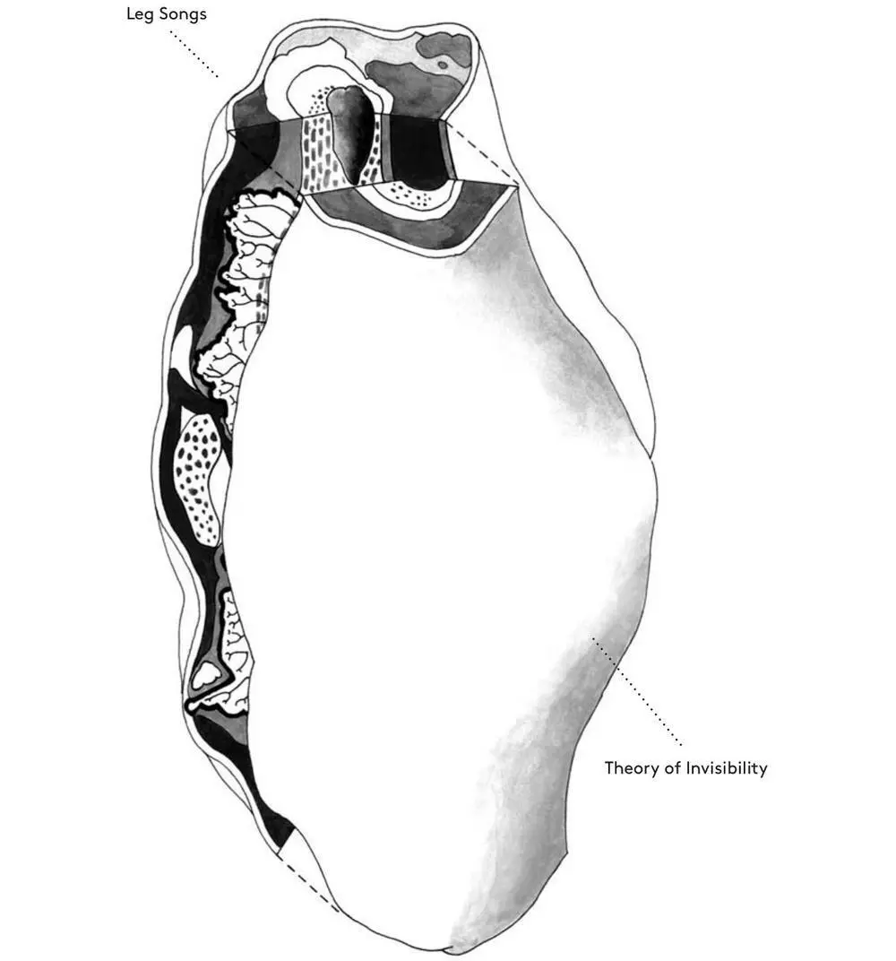 TERMS THEORY OF INVISIBILITY Plante Gs notion that the body put forth by - фото 75