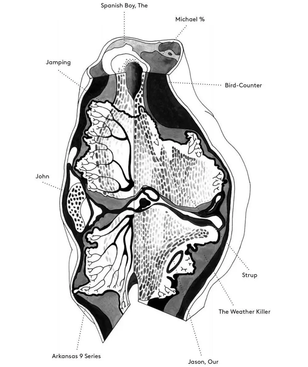 TERMS THEORY OF INVISIBILITY Plante Gs notion that the body put forth by - фото 76