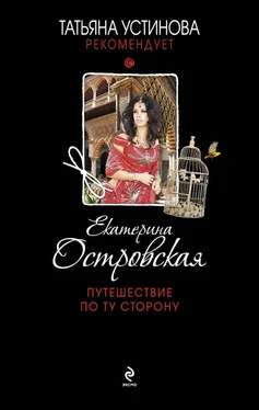 Екатерина Островская Путешествие по ту сторону обложка книги