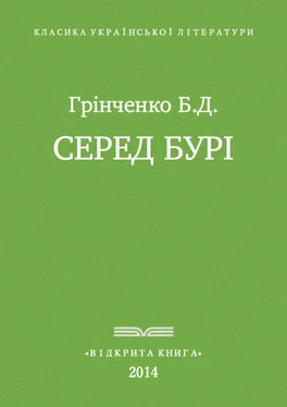 Борис Грінченко Серед бурі обложка книги