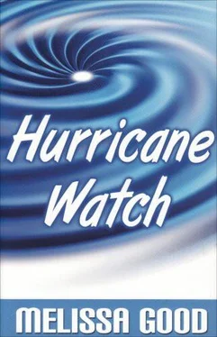 Melissa Good Hurricane Watch обложка книги