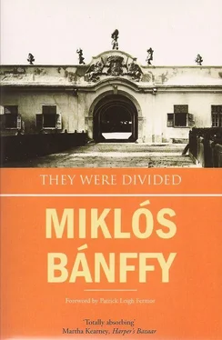 Miklos Banffy They Were Divided обложка книги