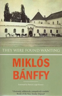 Miklós Bánffy They Were Found Wanting обложка книги